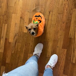 Meet your Posher, Cynthia